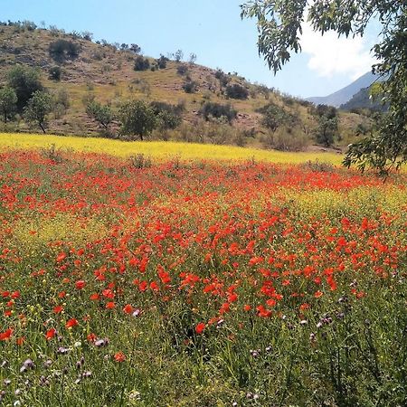 Magina Dream La Guardia Turismo Rural La Guardia de Jaen Ngoại thất bức ảnh