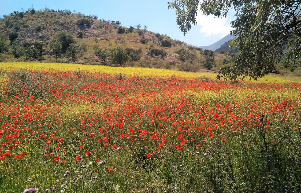Magina Dream La Guardia Turismo Rural La Guardia de Jaen Ngoại thất bức ảnh